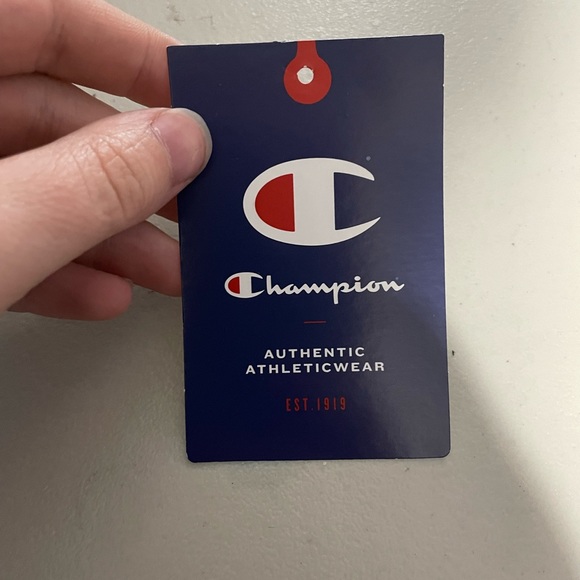 Gray Champion hoddie - Picture 4 of 4